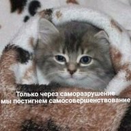 Курорептилоид